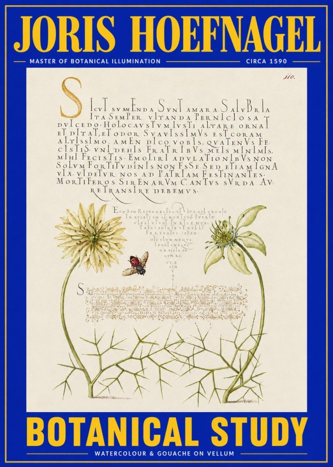 Joris Hoefnagel Botanical Study with Insect No4 - Affiche