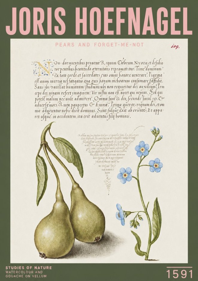 Joris Hoefnagel Pears and Forget-me-not No3 - Affiche