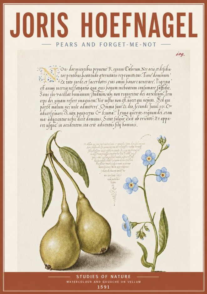 Joris Hoefnagel Pears and Forget-me-not No5 - Affiche