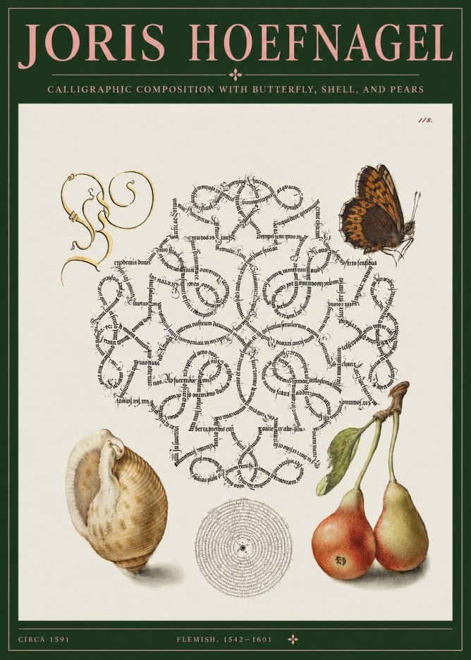 Joris Hoefnagel Calligraphic Composition with Butterfly, Shell, and Pears No3 - Affiche