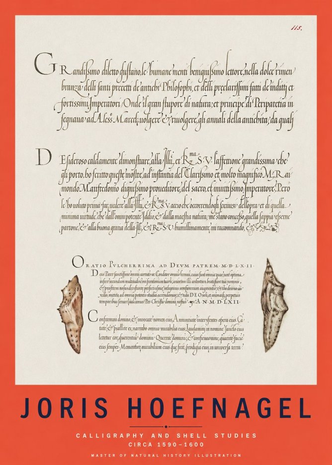 Joris Hoefnagel Study of Shells and Calligraphy No3 - Affiche
