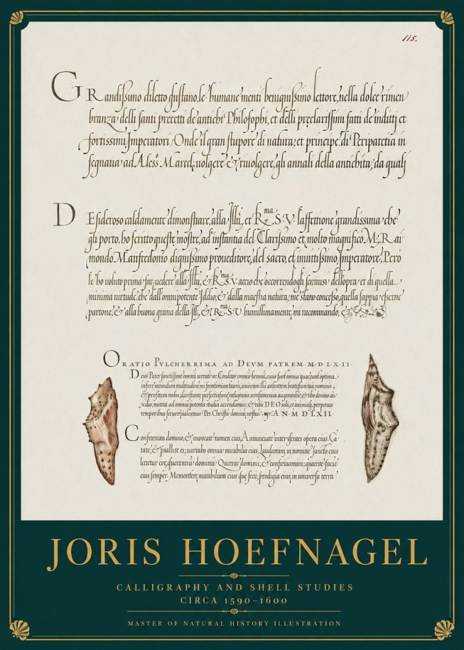 Joris Hoefnagel Study of Shells and Calligraphy No4 - Affiche