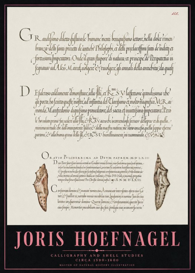 Joris Hoefnagel Study of Shells and Calligraphy No5 - Affiche