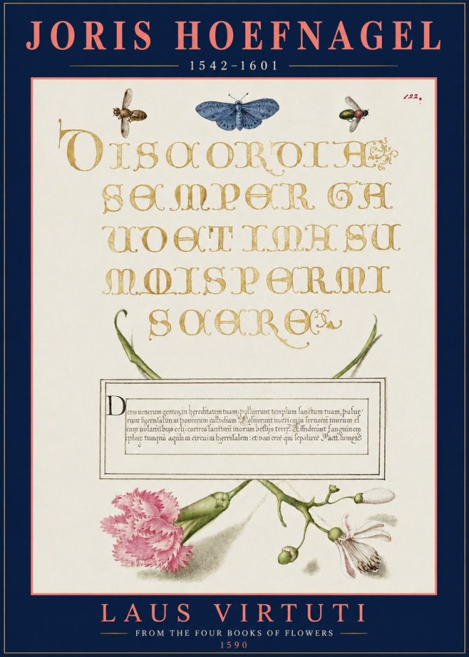 Joris Hoefnagel Laus Virtuti No3 - Affiche