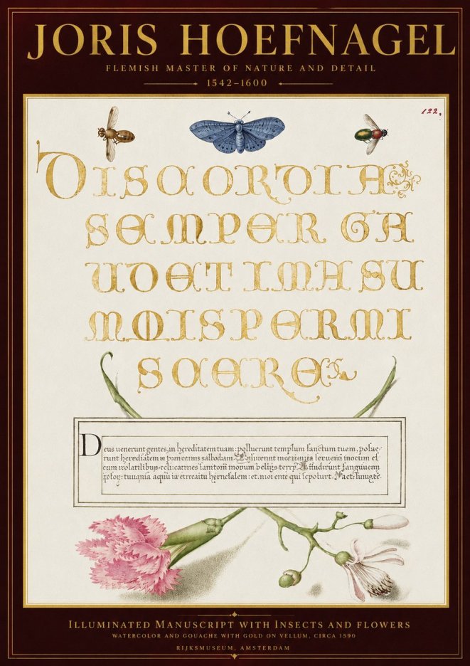 Joris Hoefnagel Laus Virtuti No6 - Affiche