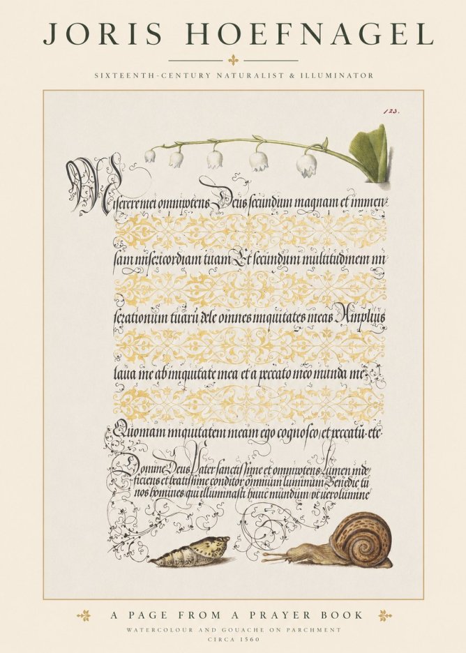 Joris Hoefnagel Lily of the Valley, Snail and Caterpillar No6 - Affiche