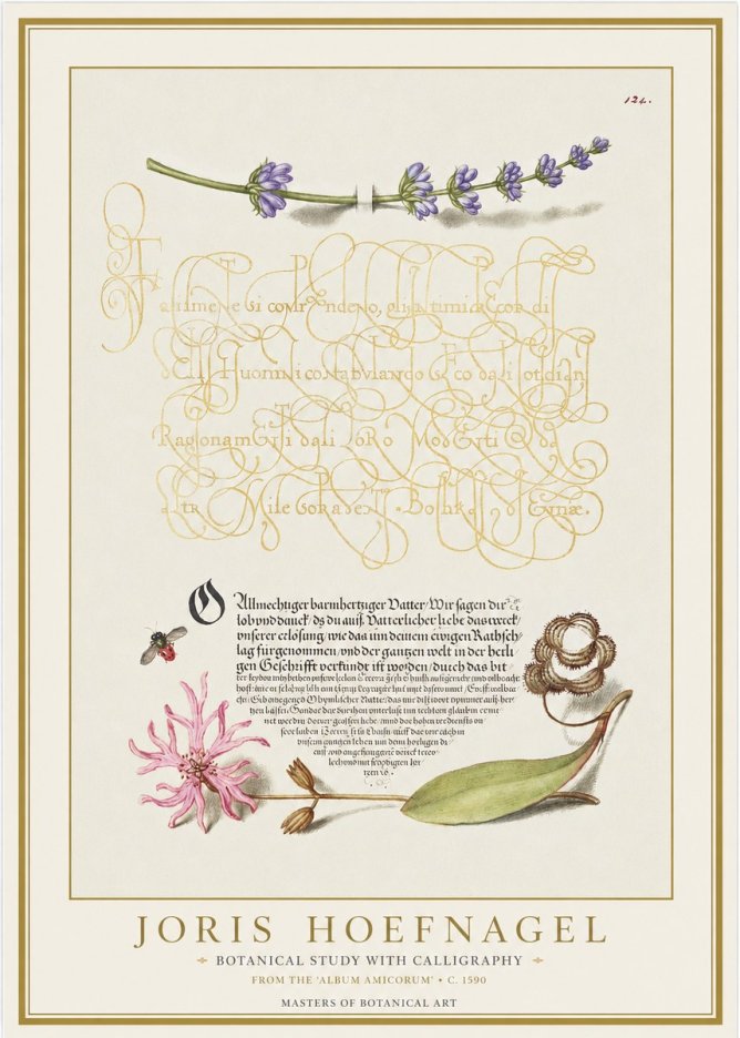 Joris Hoefnagel Botanical Study with Calligraphy IV No1 - Affiche