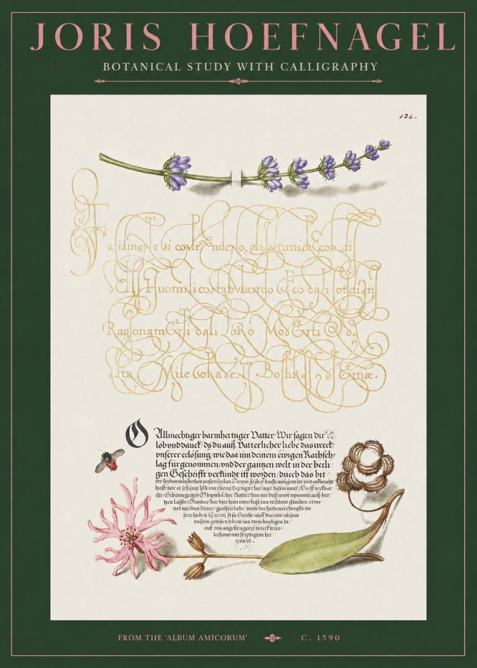 Joris Hoefnagel Botanical Study with Calligraphy IV No2 - Affiche