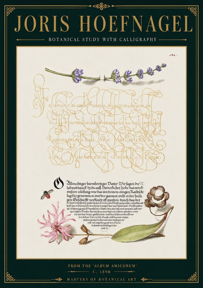 Joris Hoefnagel Botanical Study with Calligraphy IV No4 - Affiche