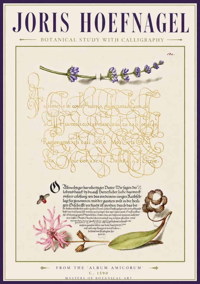 Joris Hoefnagel Botanical Study with Calligraphy IV No5 - Affiche