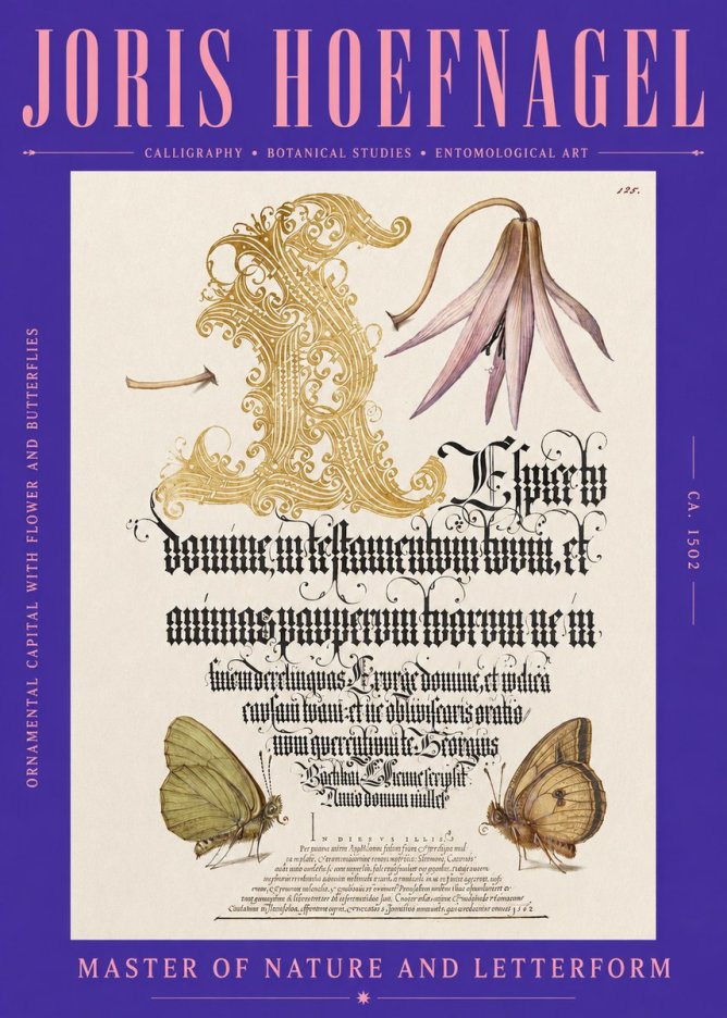 Joris Hoefnagel Ornamental Capital with Flower and Butterflies No2 - Affiche