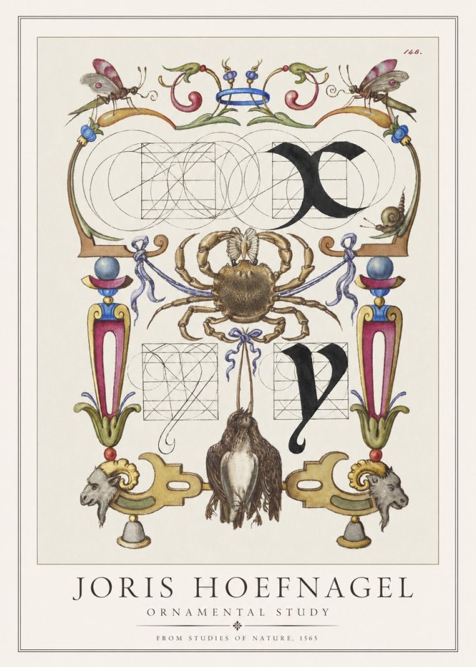 Joris Hoefnagel Ornamental Study II No1 - Affiche