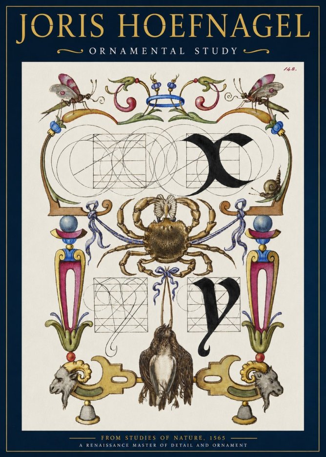 Joris Hoefnagel Ornamental Study II No2 - Affiche