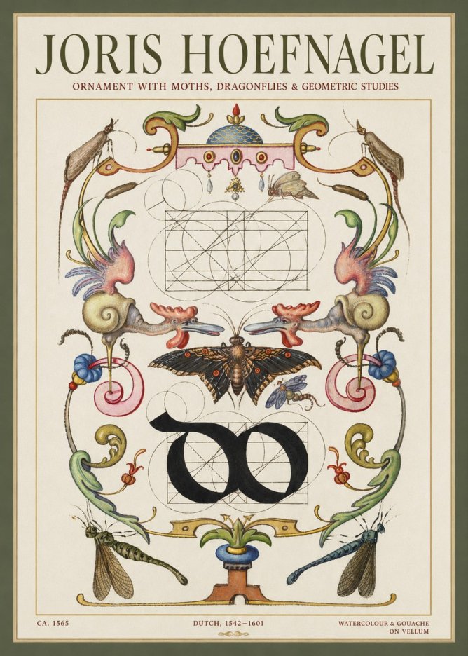 Joris Hoefnagel Ornament with Moths, Dragonflies & Geometric Studies No1 - Affiche