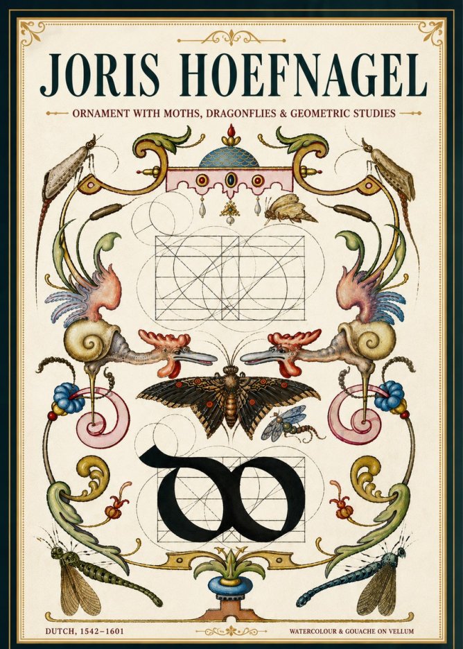 Joris Hoefnagel Ornament with Moths, Dragonflies & Geometric Studies No5 - Affiche