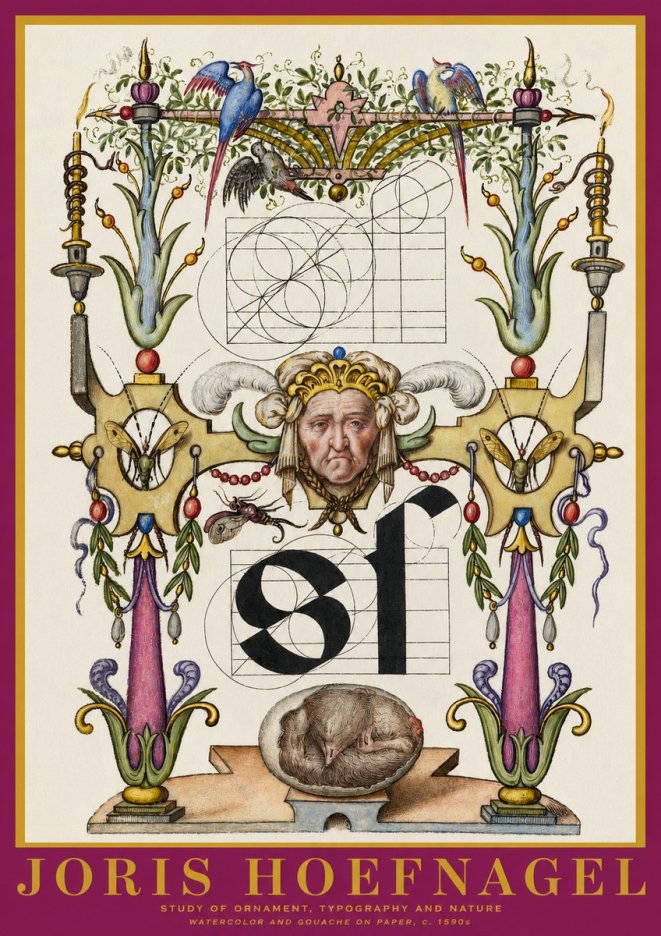 Joris Hoefnagel Mastery in Detail - Renaissance Ornament & Nature Studies No6 - Affiche
