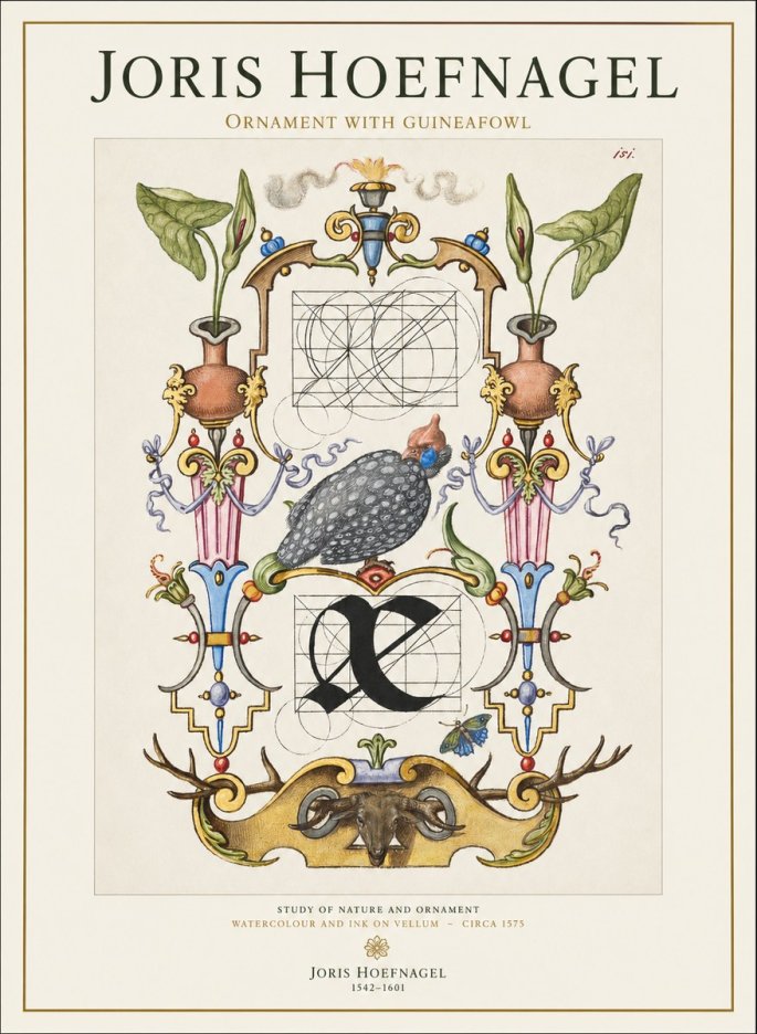Joris Hoefnagel Ornament with Guineafowl No1 - Affiche