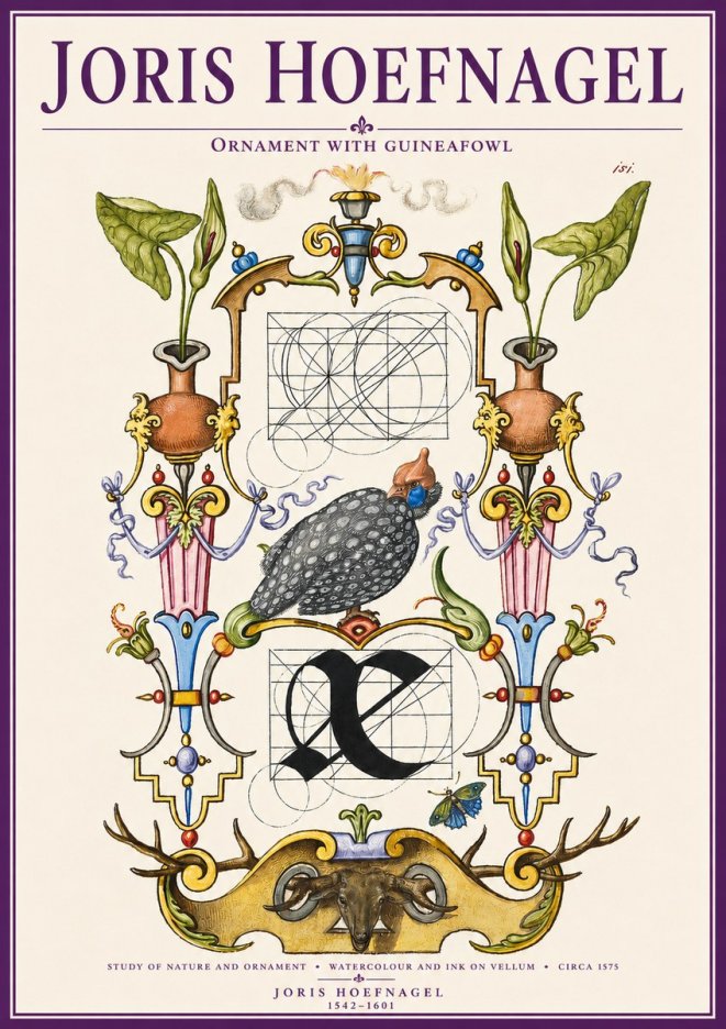 Joris Hoefnagel Ornament with Guineafowl No3 - Affiche