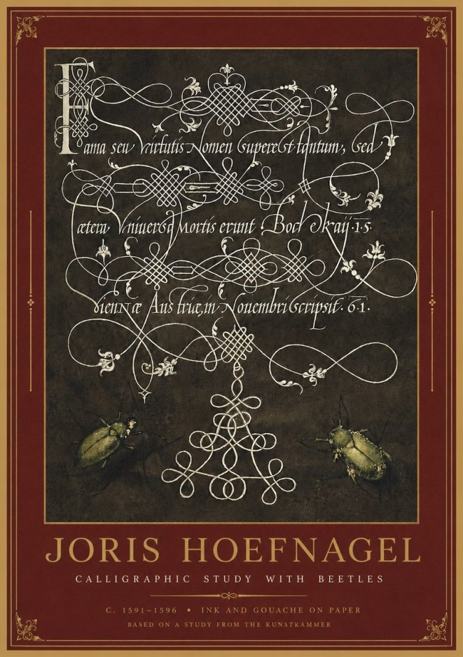 Joris Hoefnagel Calligraphic Study with Beetles No2 - Affiche