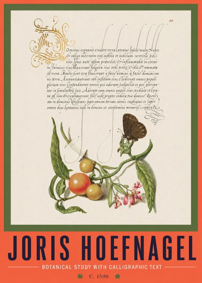 Joris Hoefnagel Botanical Study with Calligraphic Text No2 - Affiche