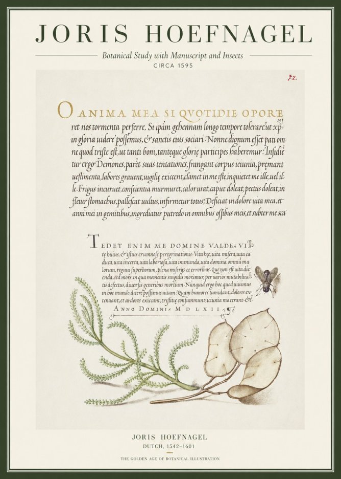 Joris Hoefnagel Botanical Study with Manuscript and Insects No1 - Affiche