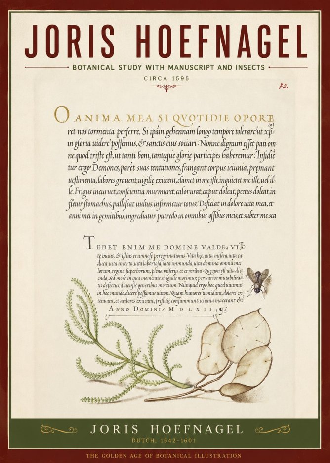 Joris Hoefnagel Botanical Study with Manuscript and Insects No2 - Affiche