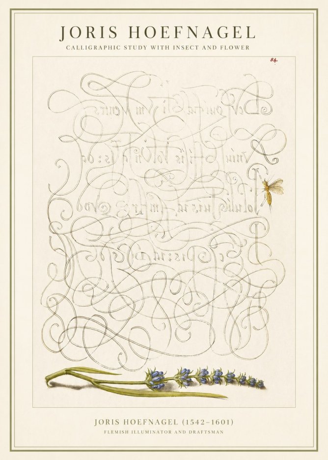 Joris Hoefnagel Calligraphic Study with Insect and Flower No1 - Affiche