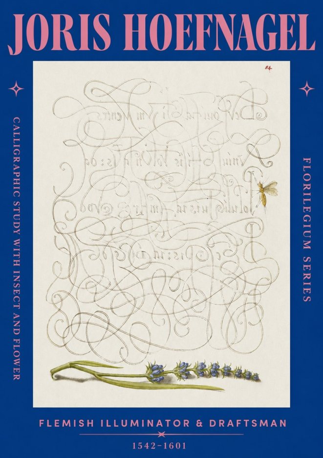 Joris Hoefnagel Calligraphic Study with Insect and Flower No2 - Affiche