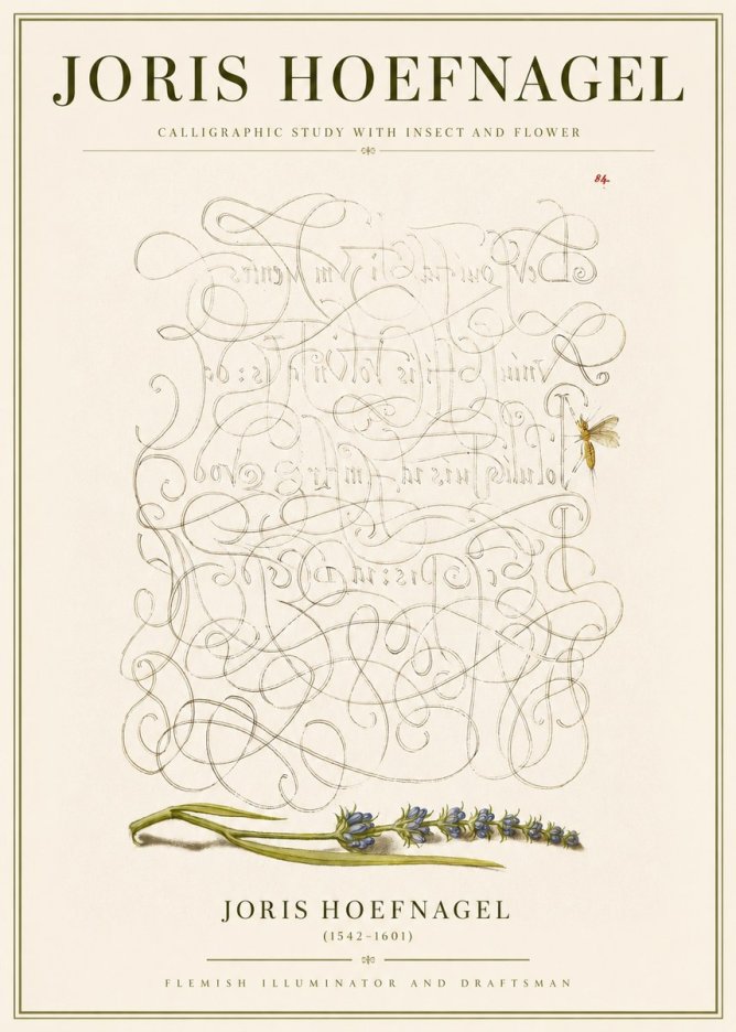Joris Hoefnagel Calligraphic Study with Insect and Flower No3 - Affiche