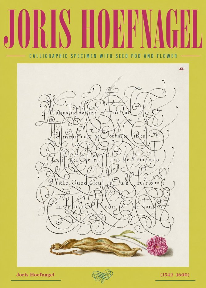 Joris Hoefnagel Calligraphic Specimen with Seed Pod and Flower No2 - Affiche