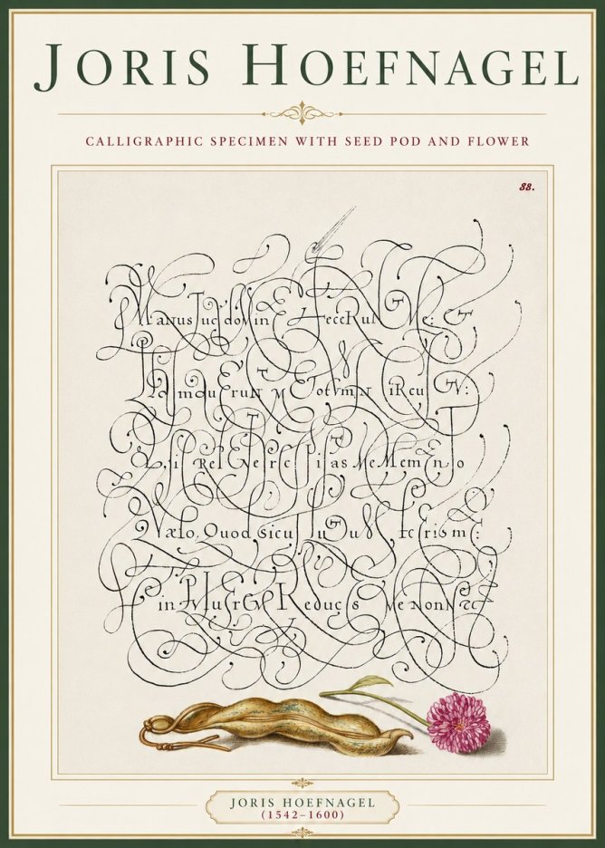 Joris Hoefnagel Calligraphic Specimen with Seed Pod and Flower No3 - Affiche