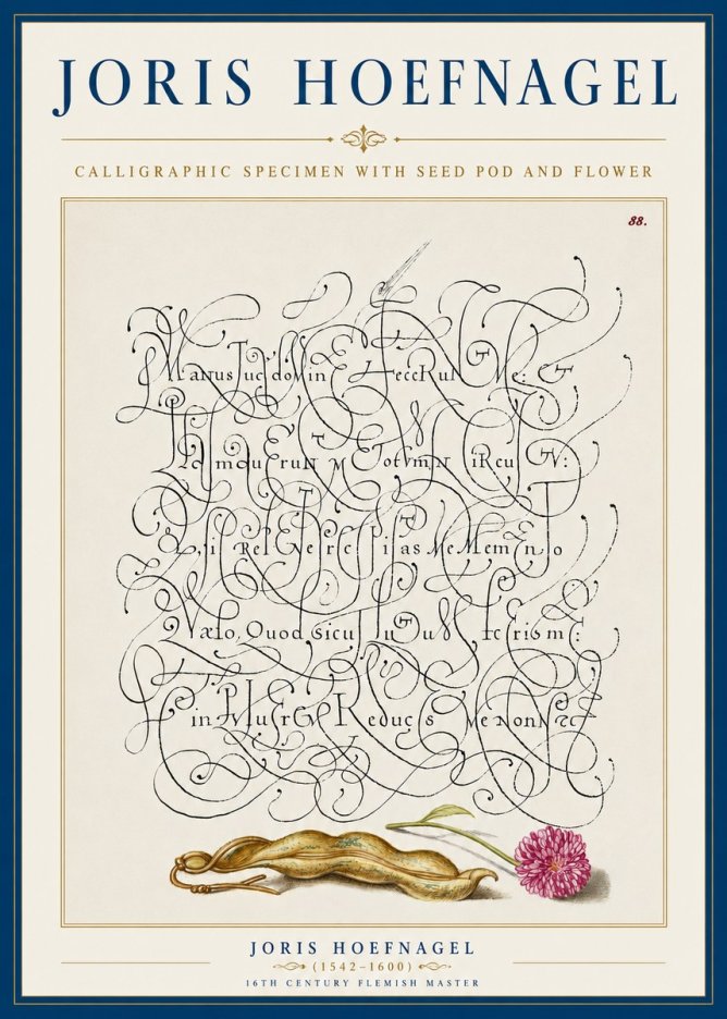 Joris Hoefnagel Calligraphic Specimen with Seed Pod and Flower No5 - Affiche