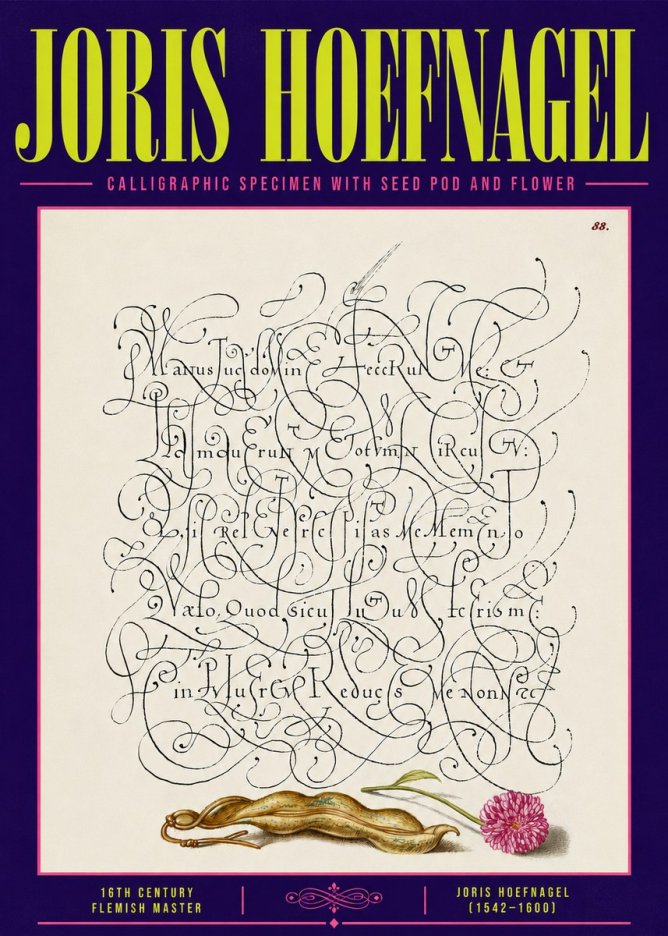 Joris Hoefnagel Calligraphic Specimen with Seed Pod and Flower No6 - Affiche