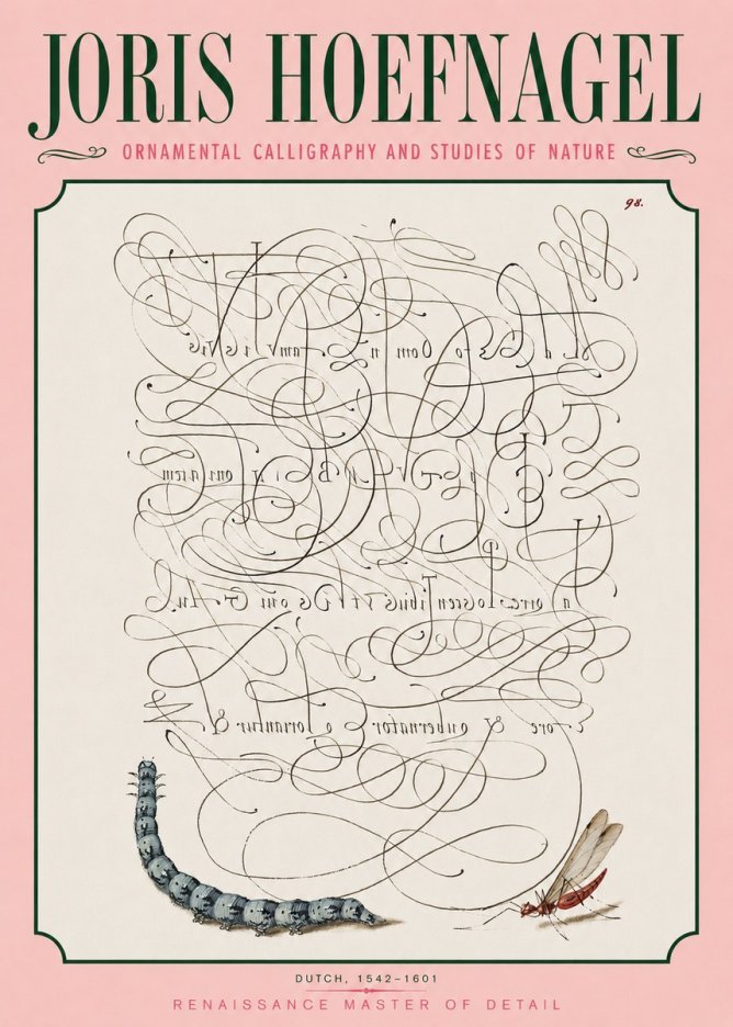 Joris Hoefnagel Ornamental Calligraphy and Studies of Nature No3 - Affiche