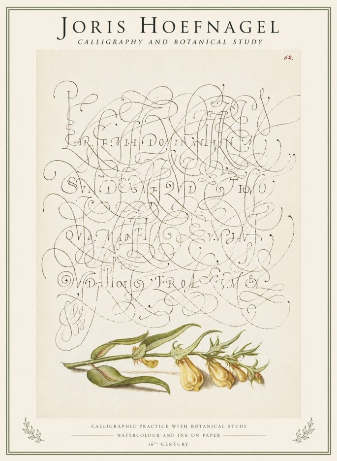 Joris Hoefnagel Calligraphic Practice with Botanical Study No1 - Affiche