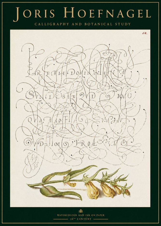 Joris Hoefnagel Calligraphic Practice with Botanical Study No3 - Affiche