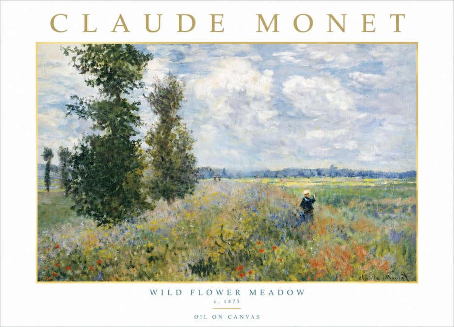 Monet Wild Flower Meadow No6 - Affiche