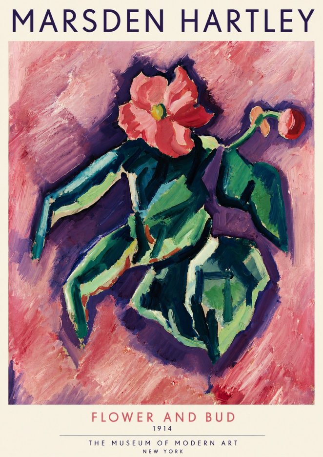 Marsden Hartley Flower and Bud No4 - Affiche