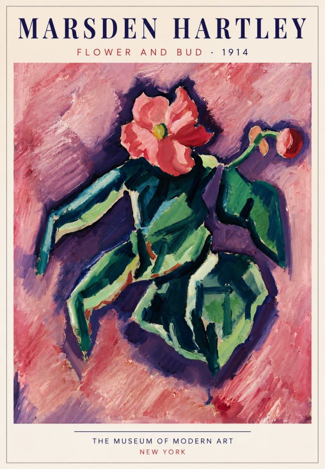 Marsden Hartley Flower and Bud No5 - Affiche