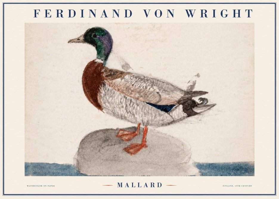Ferdinand von Wright Mallard No1 - Affiche