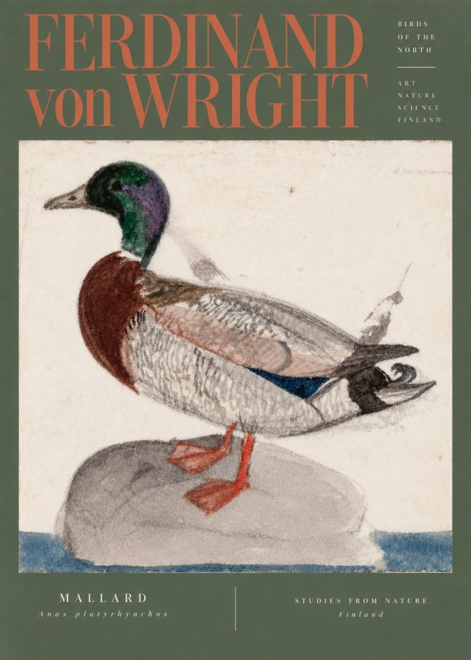 Ferdinand von Wright Mallard No5 - Affiche