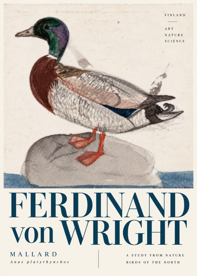 Ferdinand von Wright Mallard No6 - Affiche