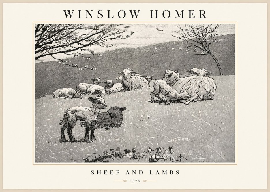 Winslow Homer Sheep and Lambs No1 - Affiche
