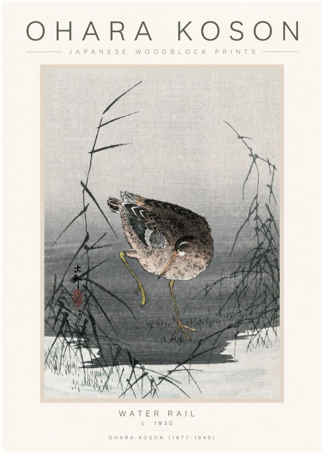 Ohara Koson Water Rail No1 - Affiche