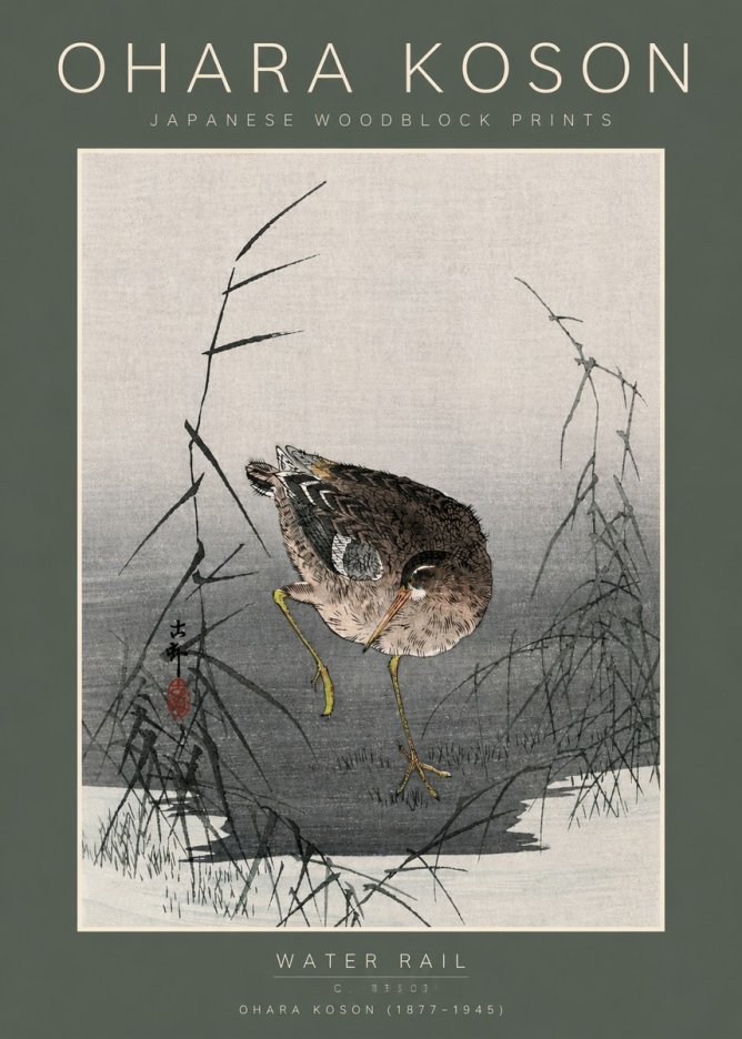 Ohara Koson Water Rail No5 - Affiche