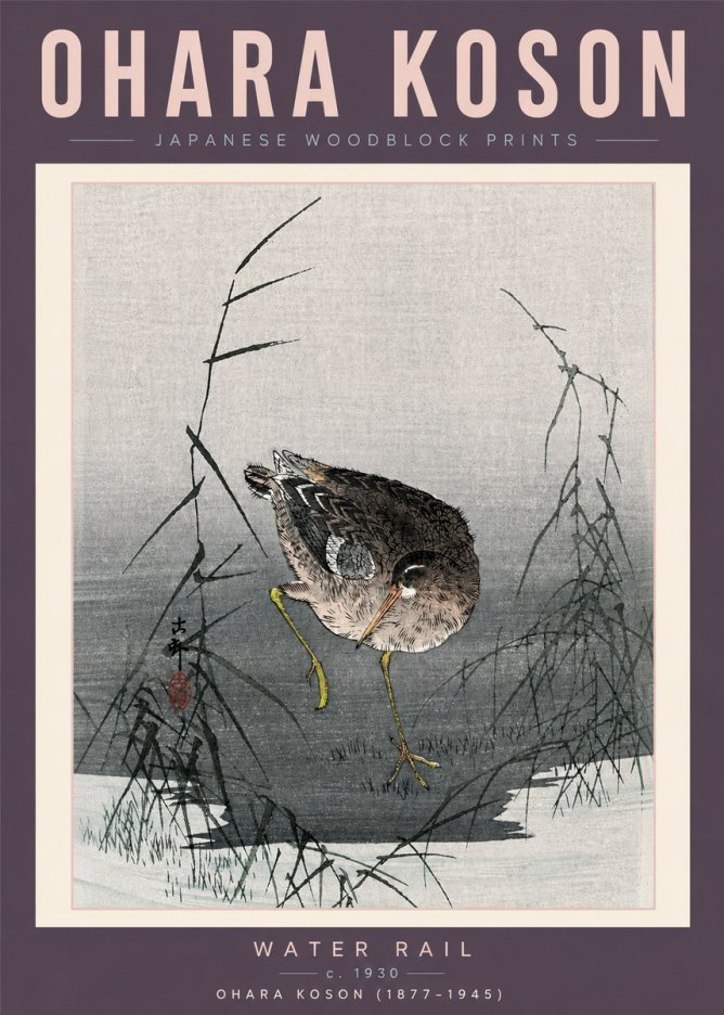 Ohara Koson Water Rail No6 - Affiche