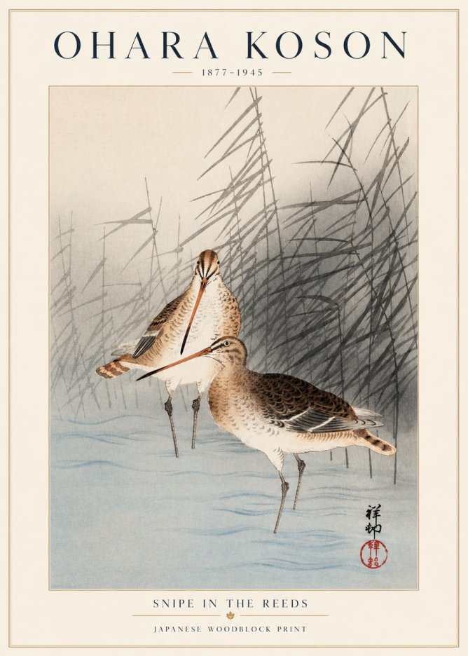 Ohara Koson Snipe in the Reeds No1 - Affiche