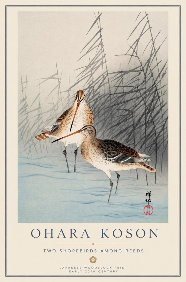 Ohara Koson Snipe in the Reeds No2 - Affiche