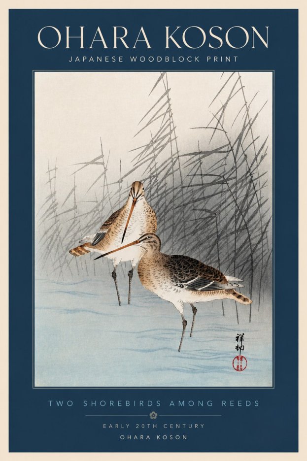 Ohara Koson Snipe in the Reeds No4 - Affiche