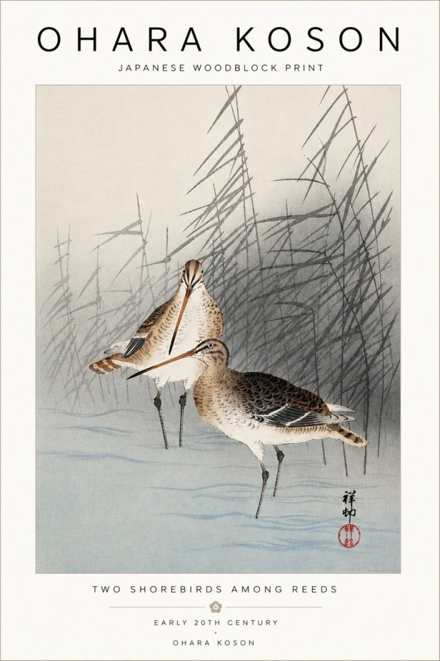 Ohara Koson Snipe in the Reeds No5 - Affiche